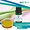Lemongrass Oil Essence